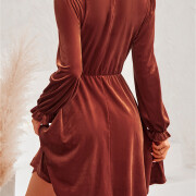 Womens-Mock-Neck-Velvet-Dress-Brown-2