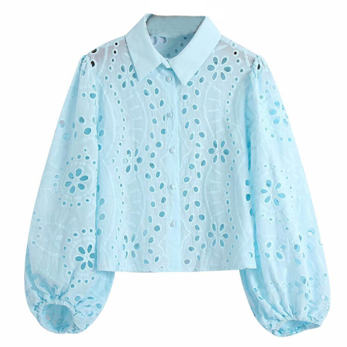 hollow-out-eyelet-lace-blouse-Blue-1.jpg