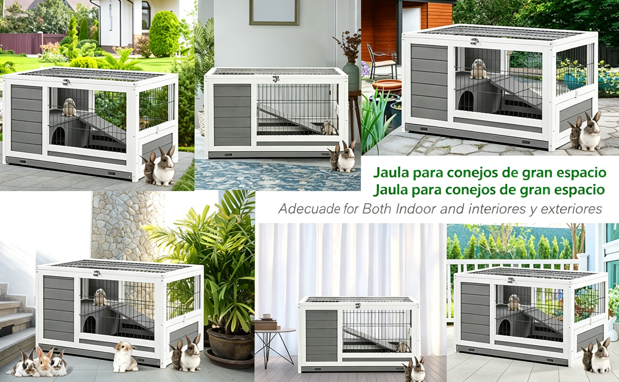 image (8)